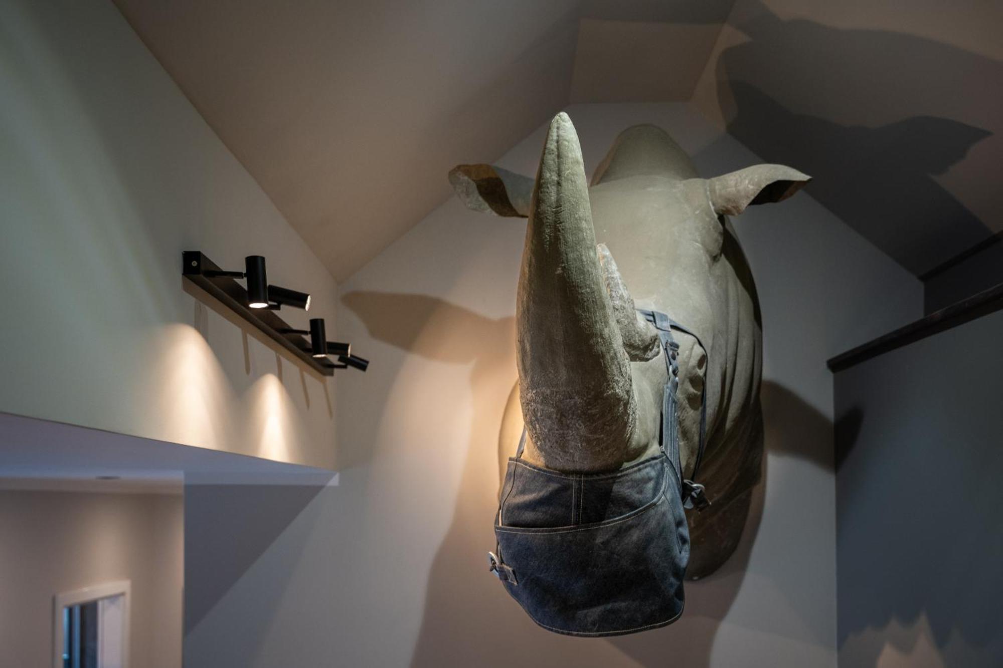 Apartmenthaus Burkhardt Meißen Pokoj fotografie
